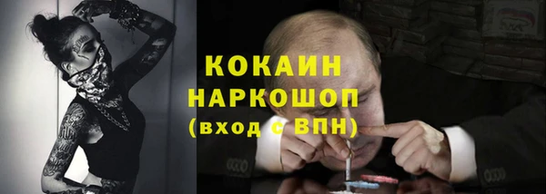 мдпв Новозыбков