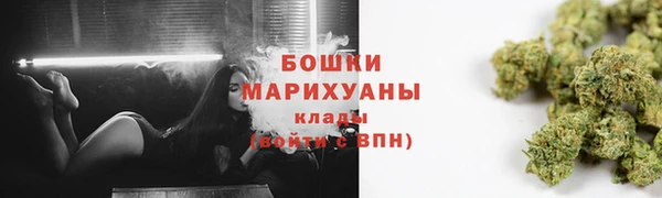 мдпв Новозыбков