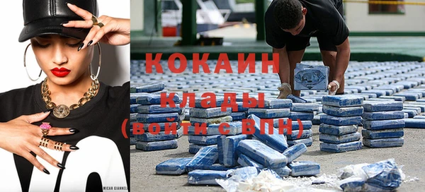 мдпв Новозыбков