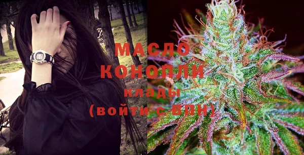 мдпв Новозыбков