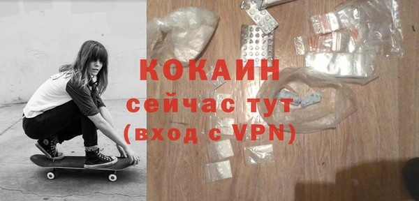 мдпв Новозыбков